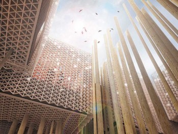 The Must-See Pavilions at the Dubai Expo 2020