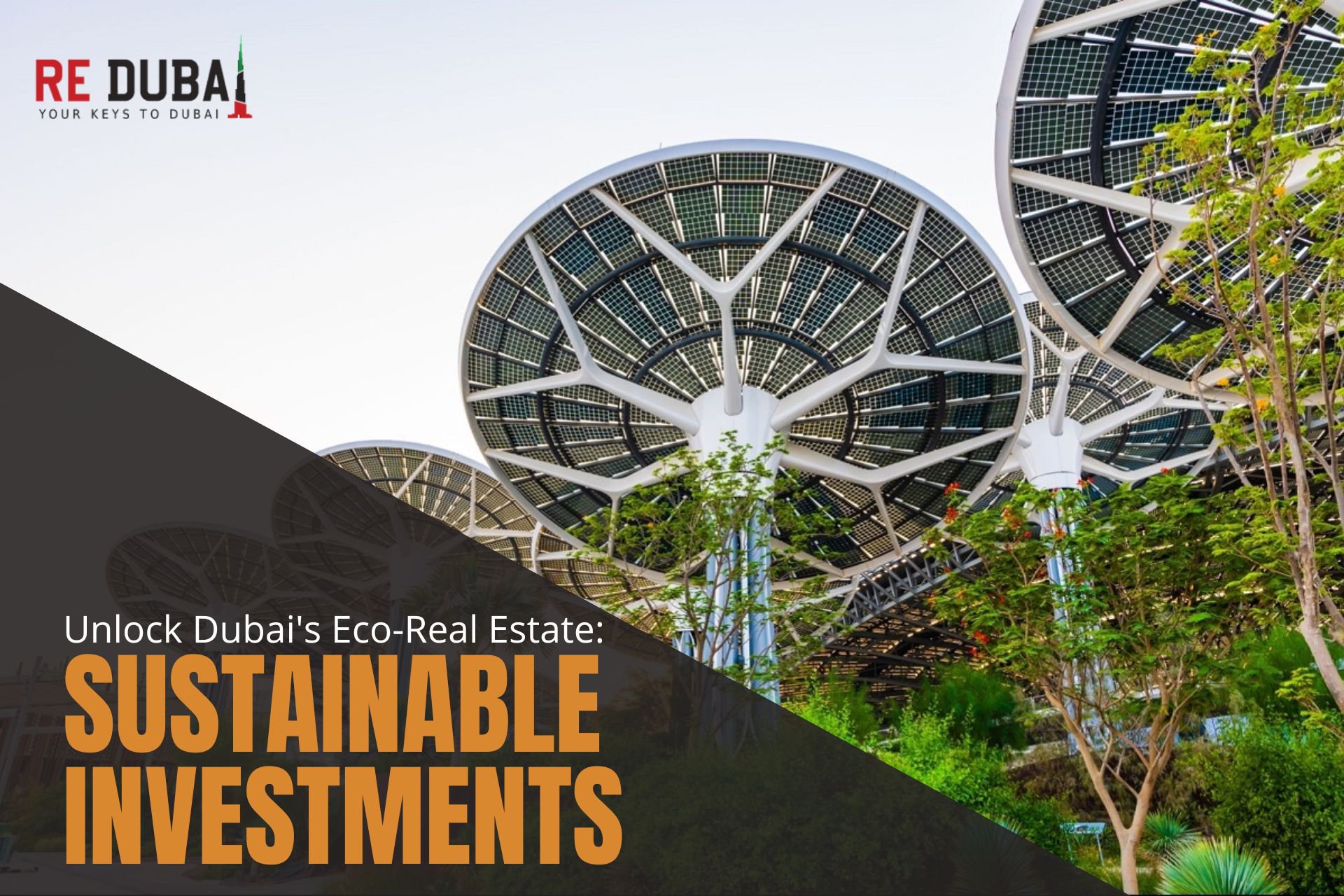 Sustainable Investments: Unlocking Opportunities in Dubai's Eco-Friendly Real Estate Projects cover